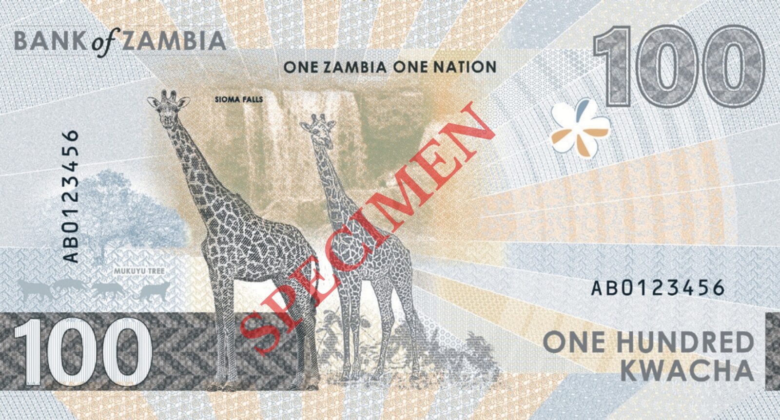 Zambia banknotes banknote