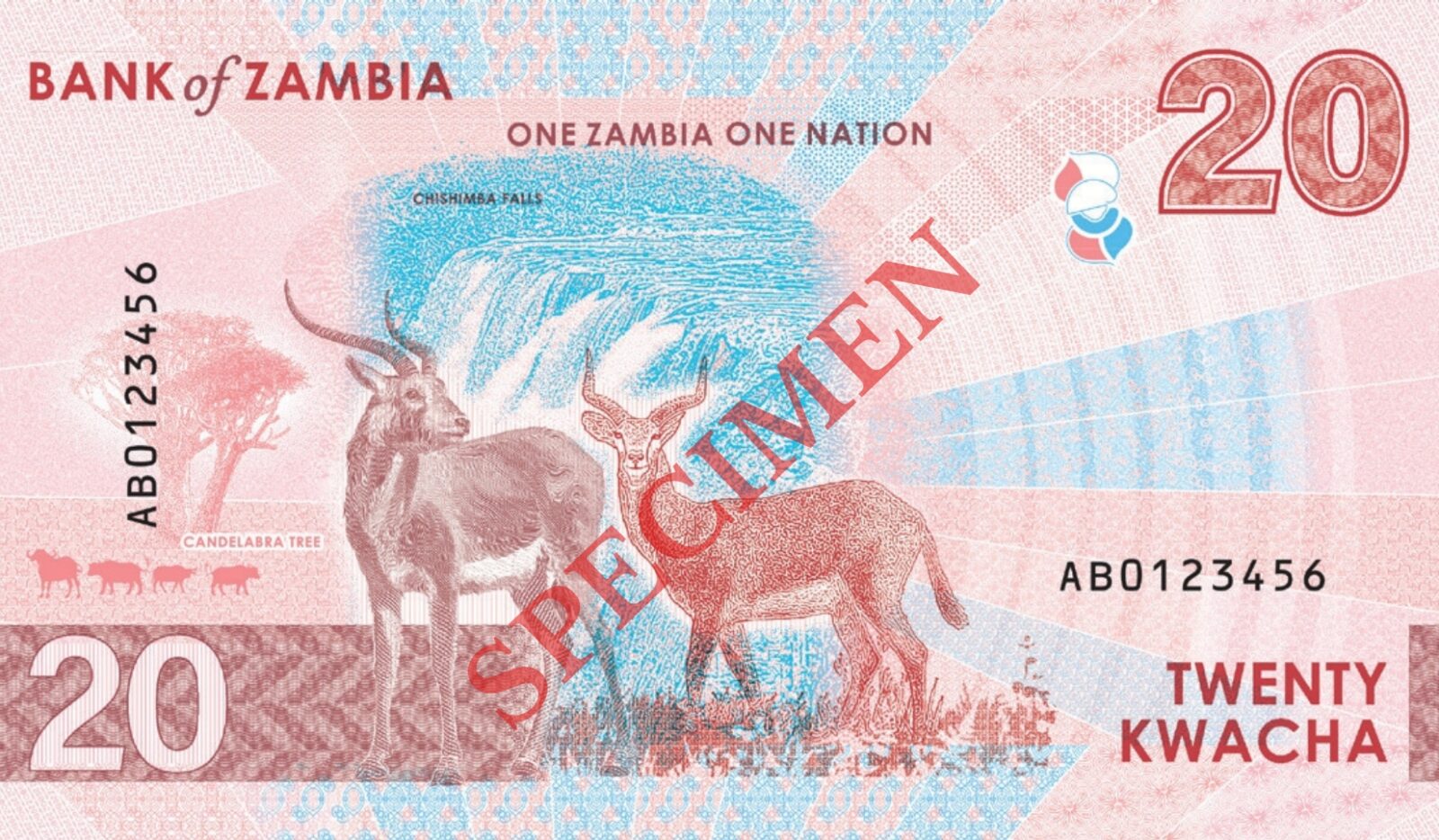 Zambia banknotes banknote