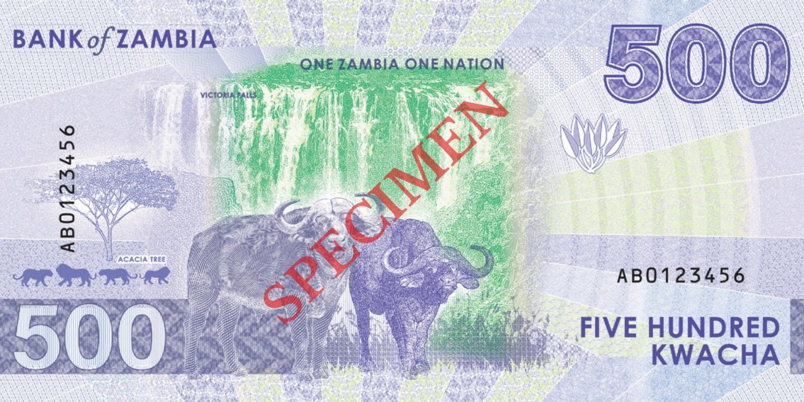 Zambia banknotes banknote