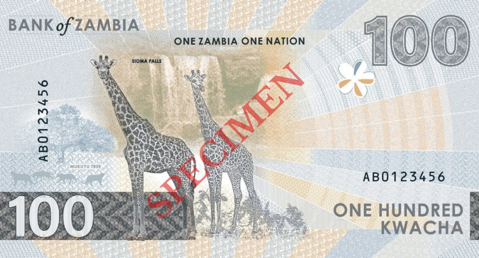 Zambia banknotes banknote