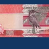 gambia-5-dalasi-2019-37a-2019-globenote-front