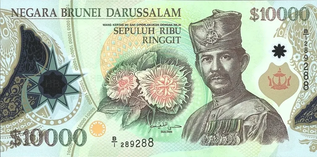 The World's highest value banknote 5