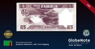 zambia 5 back